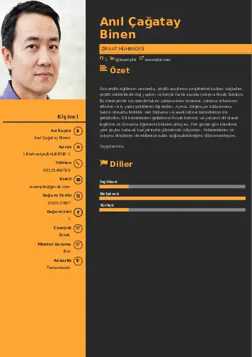 Ziraat Mühendisi Cv Örnekleri cv indir